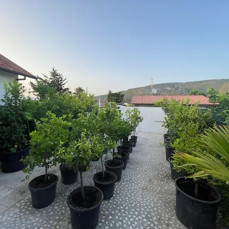Villetta Sul Mare Con Accesso Alle Spiaggia Posizione Esclusiva Holiday home *
